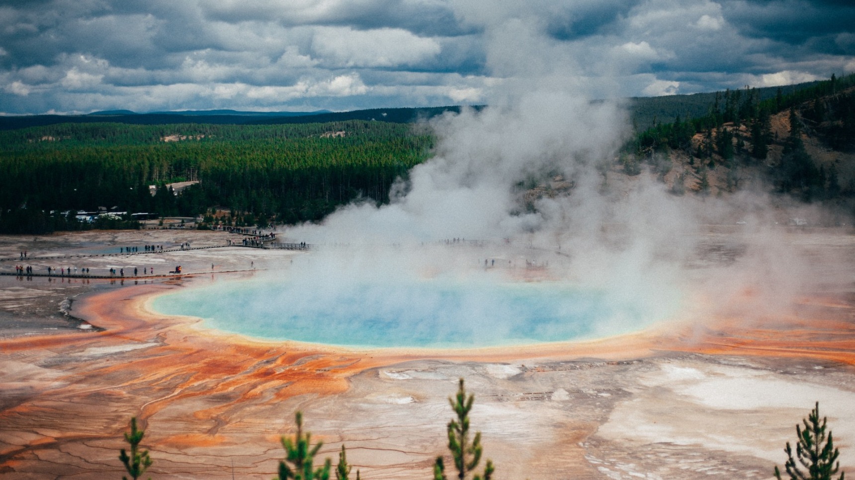 Der Grand Prismatic Spring, umgeben von viel Grün im Yellowstone-Nationalpark, Wyoming